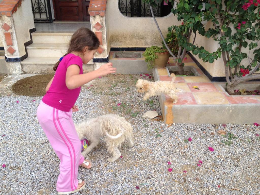 Dar Salima Bed & Breakfast Mornag Exterior photo
