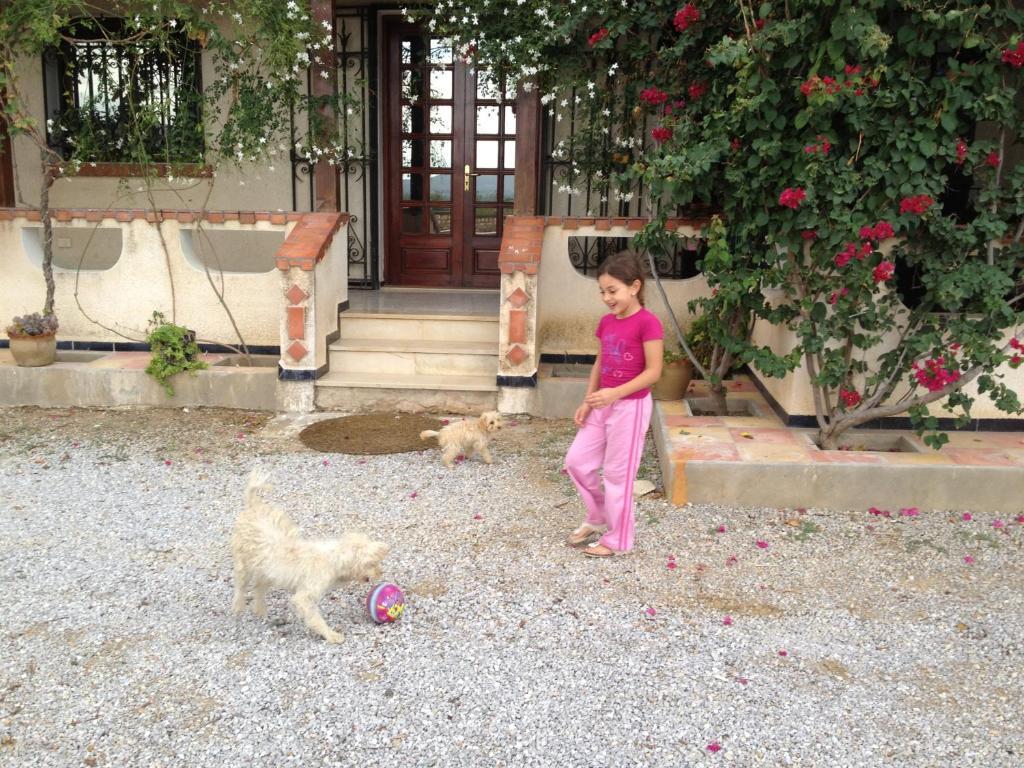Dar Salima Bed & Breakfast Mornag Exterior photo
